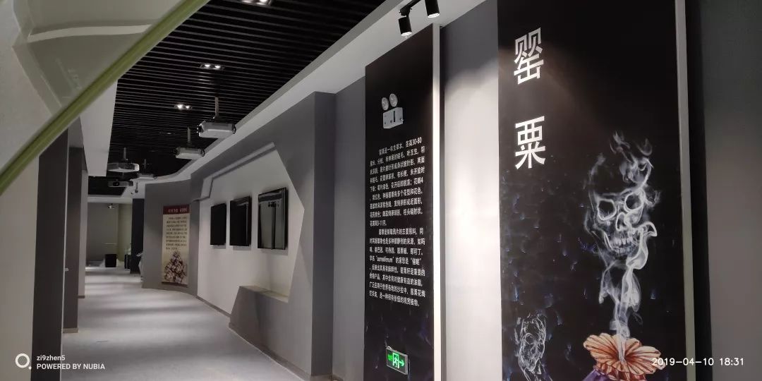 61012447987bacbcf26023a28a043da7 61012447987bacbcf26023a28a043da7.jpg